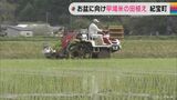 早場米の田植え始まる お盆に「あきたこまち」の新米を 三重・紀宝町 | 名古屋・愛知・岐阜・三重のニュース【CBC news】 | CBC web