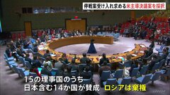 国連安全保障理事会でアメリカ主導の新停戦案受け入れを求める決議　14か国が賛成　ロシアは棄権| TBS CROSS DIG with Bloomberg