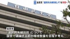 【独自】自民党、3年以上“休眠状態”の「選択的夫婦別姓」プロジェクトチームを再開へ| TBS CROSS DIG with Bloomberg