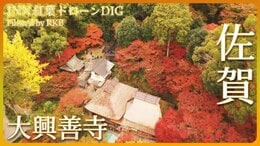 つつじともみじの古刹 大興善寺【JNN紅葉ドローンDIG】|TBS NEWS DIG