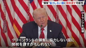 トランプ氏「グリーンランド領有に協力しない国に関税を課すかもしれない」 デンマークにさらなる圧力か|TBS NEWS DIG