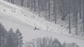 「あの子を助けて」5人巻き込まれたスキー場の雪崩…救助に駆けつけるとゴロゴロと大きな塊が　男の子の父と兄を捜して　長野・新潟県境のスキー場|TBS NEWS DIG