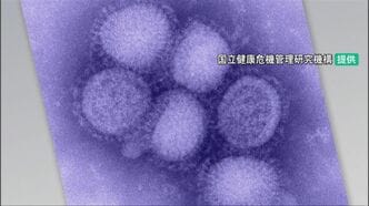 「2週連続で警報レベル」止まらぬインフルエンザ感染 石川県1617人(2/23～3/1) 10歳から17歳で459人|TBS NEWS DIG