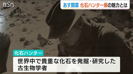 いざ化石ハンターの冒険世界へ！巨大なサイの復元標本初公開や貴重な