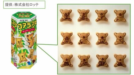 コアラ公開から40年…衝撃のかわいさに日本中が夢中になった日（1984年
