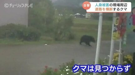 人身被害の現場周辺でドラレコが捉えた道路を横断するクマ 富山・南砺