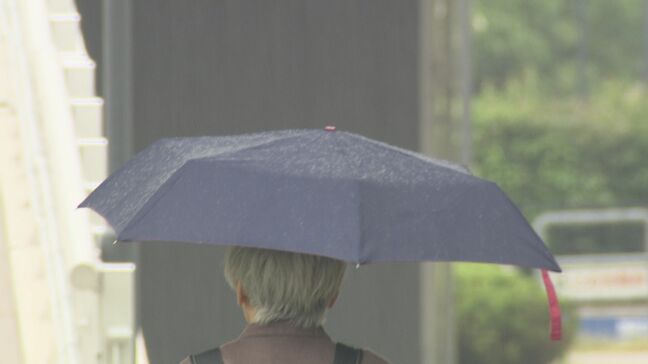 中国地方で「梅雨入り」発表　平年より３日遅く　去年より11日早い　広島|TBS NEWS DIG