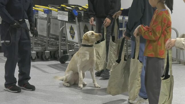 親子で学ぶ税金と税関の役割　麻薬探知犬のデモンストレーションも　鳥取県境港市|TBS NEWS DIG
