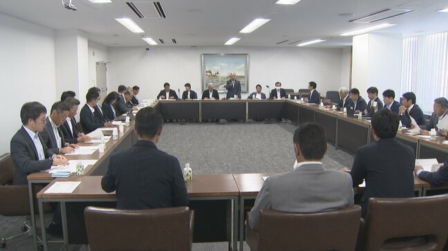  “敗北” の責任取り…自民党富山県連・橘会長が辞任　宮本幹事長は富山1区支部長問題で続投　参議院選挙富山選挙区|TBS NEWS DIG