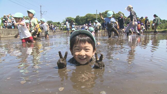 幼稚園児219人が田植え体験　夢中になるどろんこ遊びで歓声　大分|TBS NEWS DIG