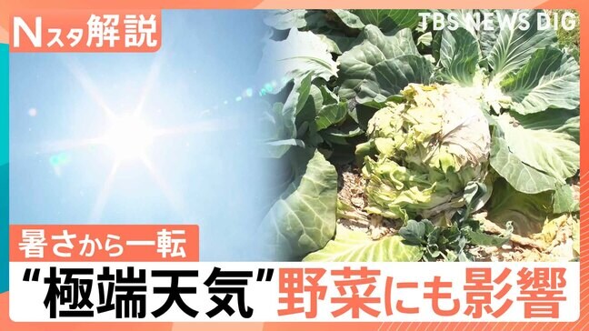 “極端天気” 異例の暑さから一転…21日(木)から気温急降下、24日(日)頃から1週間 “10年に1度”の著しい高温【Nスタ解説】|TBS NEWS DIG