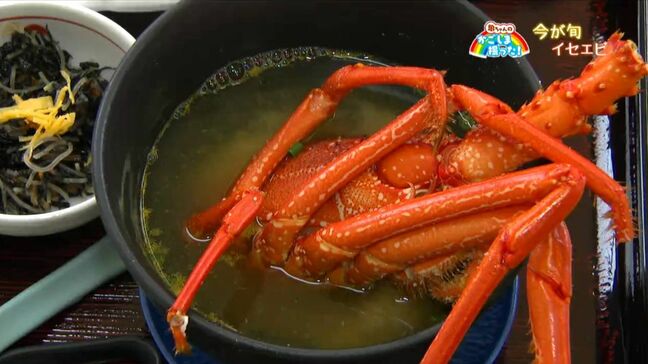 今が旬！イセエビ　阿久根市　【亀ちゃんのかごしま撮った！】|TBS NEWS DIG
