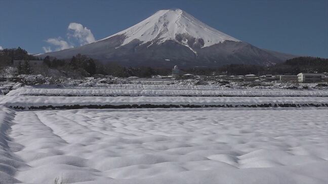 県内は3日から雨や雪　山中湖で最大20㎝の積雪　大雪の可能性は低くなるも、積雪がある場所は路面の凍結に注意　山梨|TBS NEWS DIG