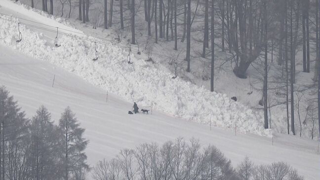 「あの子を助けて」5人巻き込まれたスキー場の雪崩…救助に駆けつけるとゴロゴロと大きな塊が 男の子の父と兄を捜して 長野・新潟県境のスキー場|TBS NEWS DIG