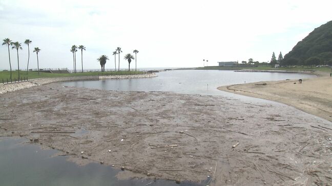 田ノ浦ビーチが遊泳禁止に 大雨の影響で海岸に大量の漂着物 再開は未定 大分|TBS NEWS DIG