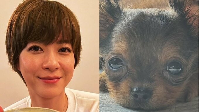 【上野樹里】「新しい家族が増えました」月齢2か月の愛犬を紹介「私の人生の歩み方も変わっていく」|TBS NEWS DIG