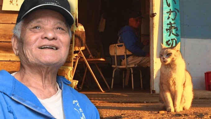 「宝くじみたいなイカ」はとっても美味！今の時期だけの旬、なのに営業日時は不定期　訪ねてみたら、そのワケがわかった！|TBS NEWS DIG