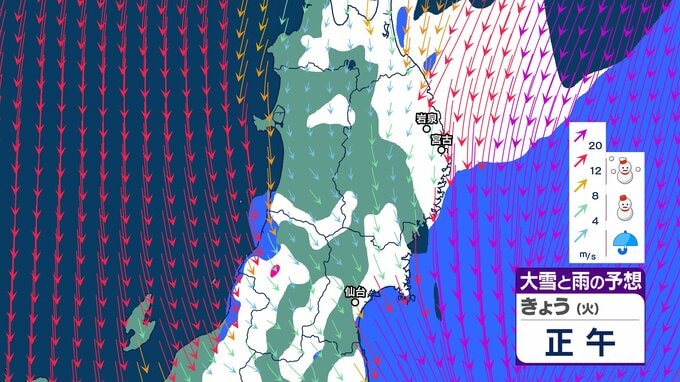 【大雪情報】東北北部の太平洋側で大雪　岩手・岩泉で64センチ、宮古で58センチ　宮古は観測史上最大　夕方まで交通障害に警戒が必要　tbc気象台　|　宮城のニュース│tbc NEWS│tbc東北放送