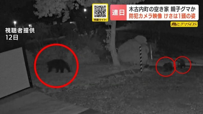 【クマ出没】山中の空き家に親子とみられるクマ3頭　母グマの後を追う子グマ2頭が防犯カメラの前に…近くの栗の木は食い荒らされる　北海道木古内町　|　北海道のニュース｜HBC北海道放送