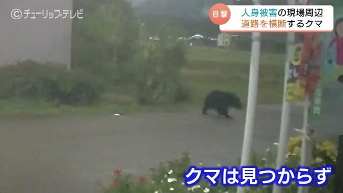 人身被害の現場周辺でドラレコが捉えた道路を横断するクマ 富山・南砺市　|　富山のニュース｜天気・防災｜チューリップテレビ