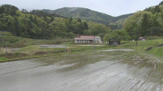 スーパーでは「特売復活」…「令和の米騒動」から2年「だんだん下がってくるのはしょうがない」持続可能な「概算金」コメ農家に聞いてみると…|TBS NEWS DIG