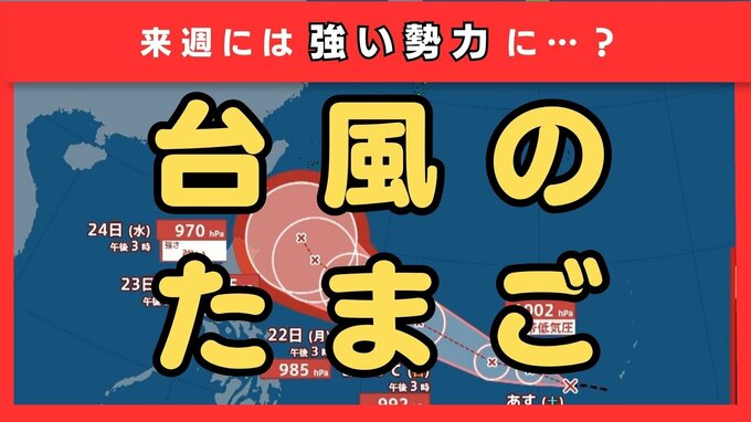 【最新台風情報】“台風のたまご”＝熱帯低気圧が発生　今後24時間以内に台風へと発達する見込み　今後の進路は？【気象庁】|TBS NEWS DIG