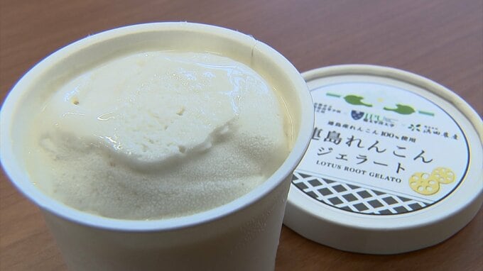 新感覚デザート完成！倉敷の特産「連島れんこん」を使ったジェラートを地元高校生らが考案【岡山】|TBS NEWS DIG