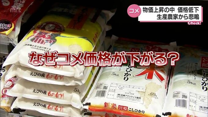 コメ価格は低下　物価は上昇　生産農家から悲鳴　|　MRTニュース ｜ ＭＲＴ宮崎放送