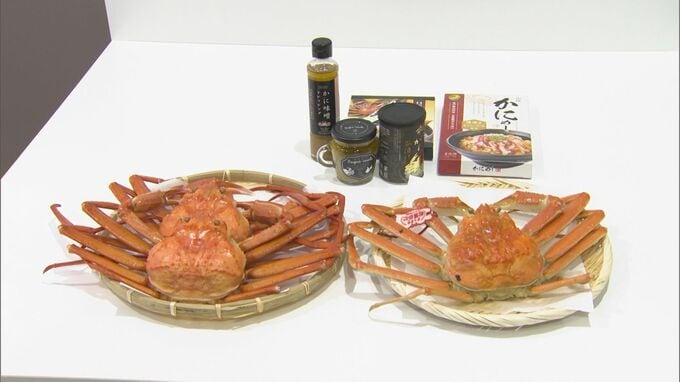 1回500円の“ガチャ”を回すと…1万円相当、「高級松葉がに」ゲットのチャンス　鳥取の空港で大盤振る舞いガチャ実施のワケとは？　今年は確率アップ、7000円相当の「ベニズワイガニ」も賞品に加わる|TBS NEWS DIG