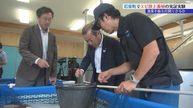 漁業不振の打開に向けて　岩泉町でエビ陸上養殖の実証実験がスタート　岩手|TBS NEWS DIG