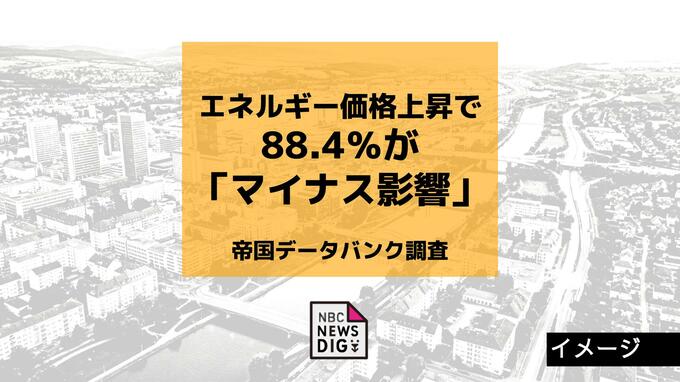 離島地域を有する長崎県「輸送コストの影響を受けやすい」エネルギー価格上昇、長崎県内企業の88.4％が「マイナス影響」【帝国データバンク調査】|TBS NEWS DIG