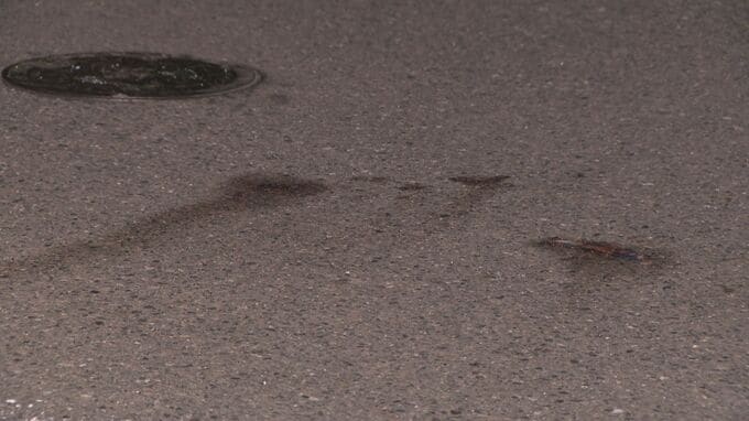 愛知・稲沢市で「弟に刺された」と通報…包丁を持って警察官に向かっていった男を現行犯逮捕|TBS NEWS DIG