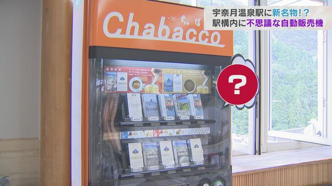 「タバコじゃないよ、チャバコだよ！」子どもも味わえるお土産　ほっと一息？観光地に不思議な自販機|TBS NEWS DIG