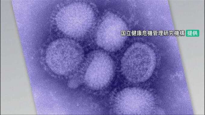 「2週連続で警報レベル」止まらぬインフルエンザ感染 石川県1617人(2/23～3/1) 10歳から17歳で459人|TBS NEWS DIG