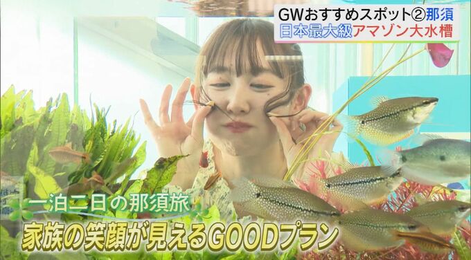 GWにおすすめ！１泊２日の絶景＆グルメスポット ファミリープラン【後編】　|　福島のニュース│TUF