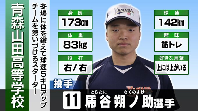 【センバツ甲子園】打撃投手で主将に死球…ひと冬超えて初の甲子園のマウンド　青森山田の乕谷朔ノ助投手が〝虎〟の聖地に立つまでの物語【球跡】　|　青森のニュース│ATV NEWS│青森テレビ