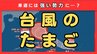 【最新台風情報】“台風のたまご”＝熱帯低気圧が発生　今後24時間以内に台風へと発達する見込み　今後の進路は？【気象庁】　|　MBSニュース | 関西の最新ニュースを分かりやすく。