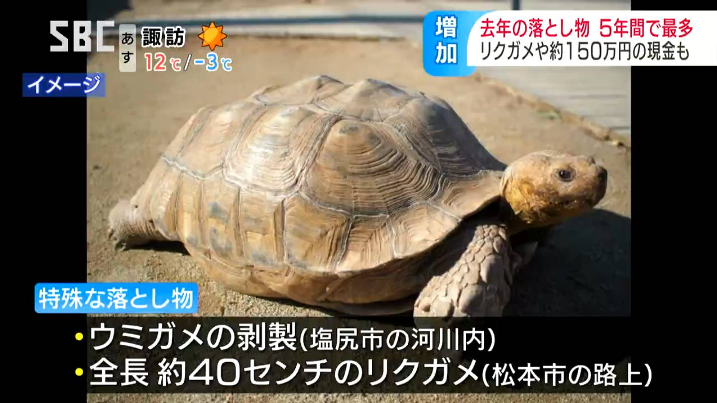 生きたリクガメや1メートルのウミガメの剥製、現金150万円も…2023年の