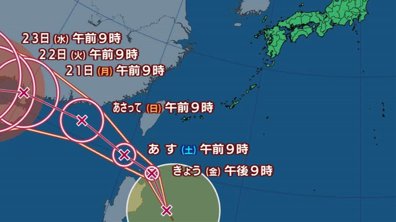 Hammo 台風山葵5.6 手渡し限定】hammoハモ XCORE タイフーンワサビ(台風山葵) - メルカリ