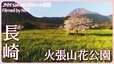 春色の景色へ　長崎県・島原市　火張山花公園【JNN sakuraドローンDIG 2023】|TBS NEWS DIG