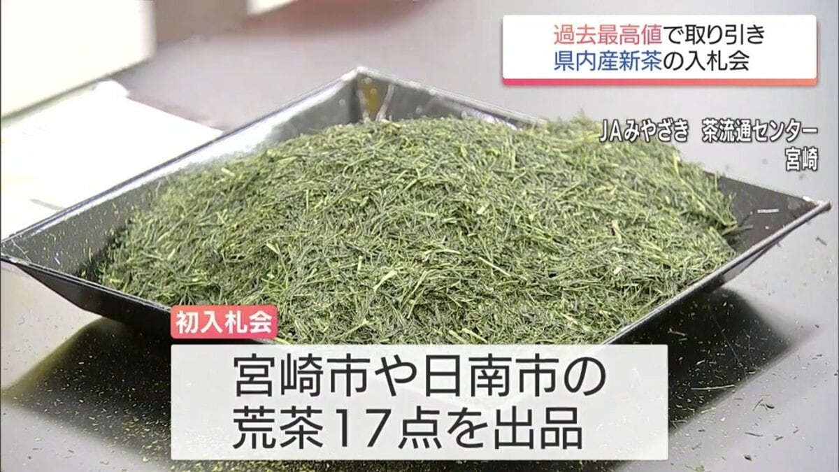 宮崎県産の新茶 今年初の入札会 過去10年の最高値を更新 | MRTニュース