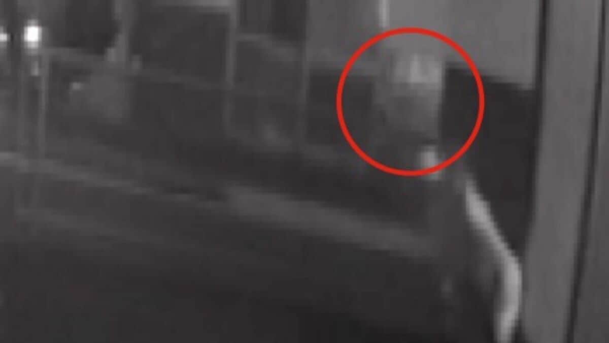 名古屋･大須で路上強盗 卑劣な“犯行の瞬間”がカメラに… 殴られた男性は頭の骨を折るなど重傷 30代の男女2人を逮捕