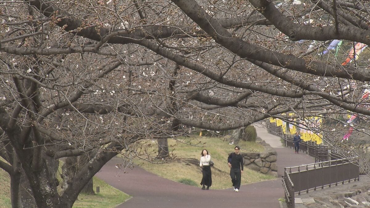 「半袖でもいいくらい」大分・日田市で27.4度　今年初の夏日を観測　県内7地点で今年最高も天気は下り坂
