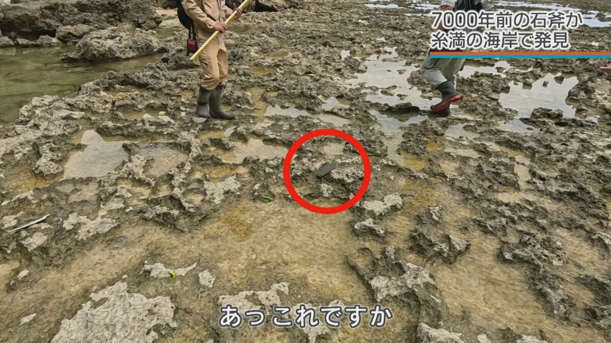 7000年前に海に落ちた？ 糸満市の大度海岸で「石斧」が見つかる　沖縄戦の戦火もくぐり抜け