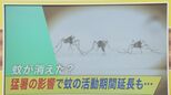 「猛暑で蚊が消えた?」街のギモンを実験で検証!“刺されにくい方法”も専門家に聞く【ひるおび】|TBS NEWS DIG
