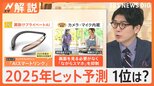 “シンカトリ”“スイカゲーム”…今年のヒット商品ベスト30発表、“肩掛けプライベートAI”“ライトアニメ”など来年のヒット予測も【Nスタ解説】|TBS NEWS DIG