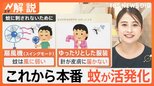 秋こそ蚊が活発化、10月下旬まで注意! フェイント&ダッシュ“蚊を置き去り”作戦で対策?【Nスタ解説】|TBS NEWS DIG
