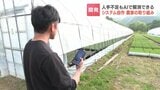 プログラミング知識ゼロの文系農家『ChatGPT』駆使してAI農業を実現!トラクター自動運転やハウス自動温度管理 外注の1割コストで実現した驚きのAI活用術|TBS NEWS DIG