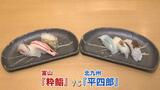 軍配はどっち?富山県と北九州市が「すし食べ比べ対決」9月8日から第2弾も | 富山のニュース|天気・防災|チューリップテレビ