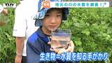 「ぷにぷにする」「うえにとんでた」児童と園児が川に住んでいる生き物で水質調査　じっくり観察してわかったことは？（山形・村山市）　|　山形のニュース│TUYテレビユー山形
